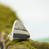 Moroccan Ammonite Sterling Silver Triangle Ring Size 8