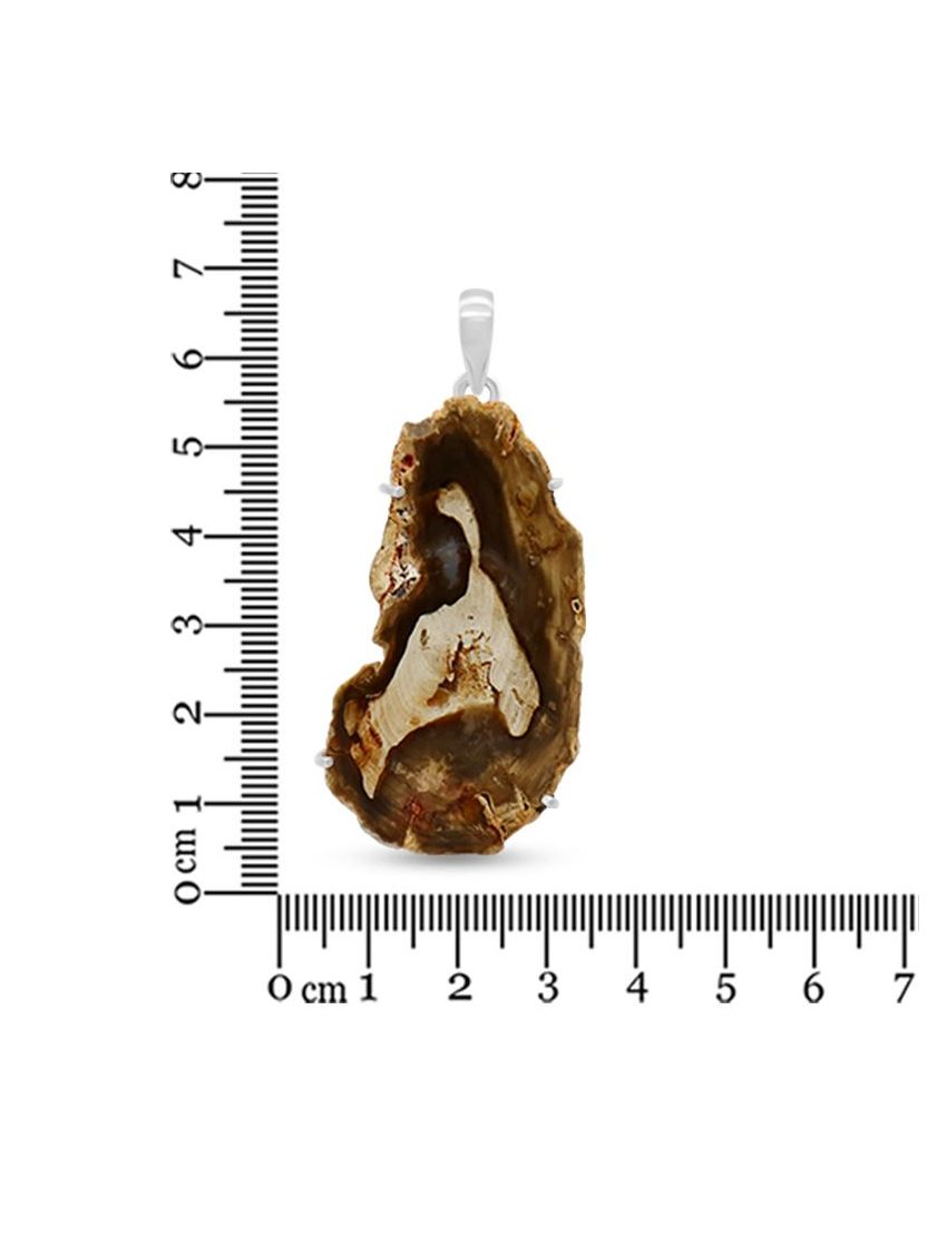 Tall Petrified Wood Pendant